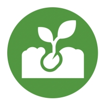 Clip Art Growth